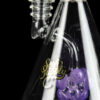"Phorbas" Cool Spore Perc Beaker Bong "Phorbas" Cool Spore Perc Beaker Bong