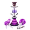 Premium Portable Mini Glass Hookah Set Premium Portable Mini Glass Hookah Set