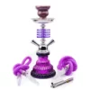 11" Portable 2-Hose Mini Shisha Hookah Set